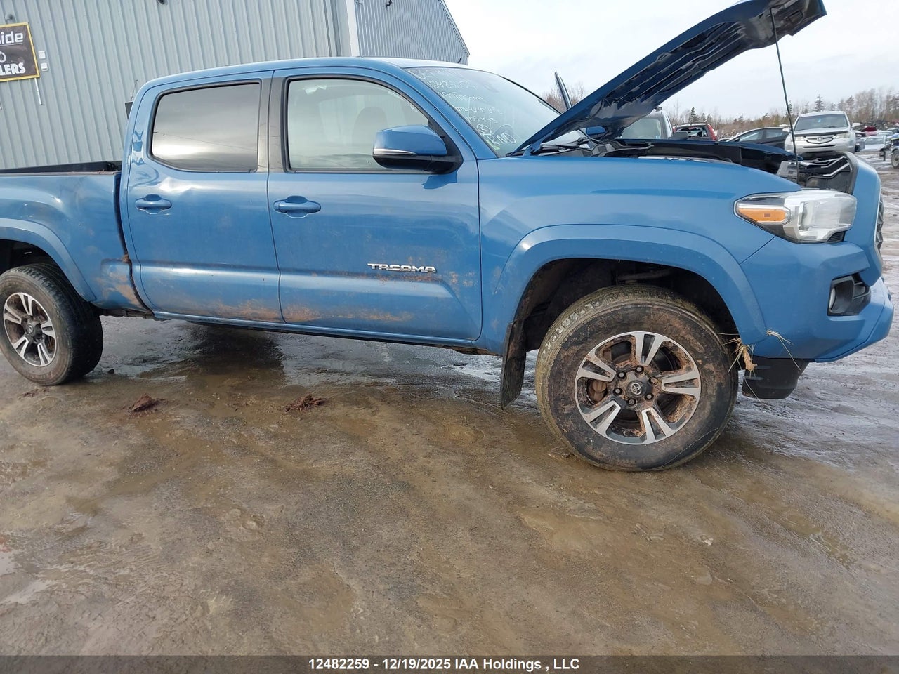 2019 TOYOTA TACOMA DOUBLE CAB/SR5/TRD SPORT/TRD OFF ROAD thumbnail 7