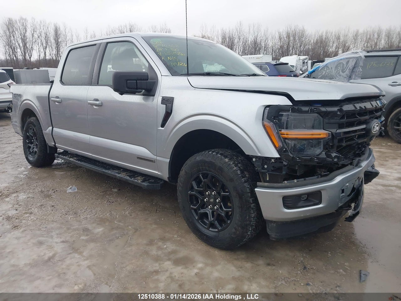 2024 FORD F150 XLT thumbnail 2