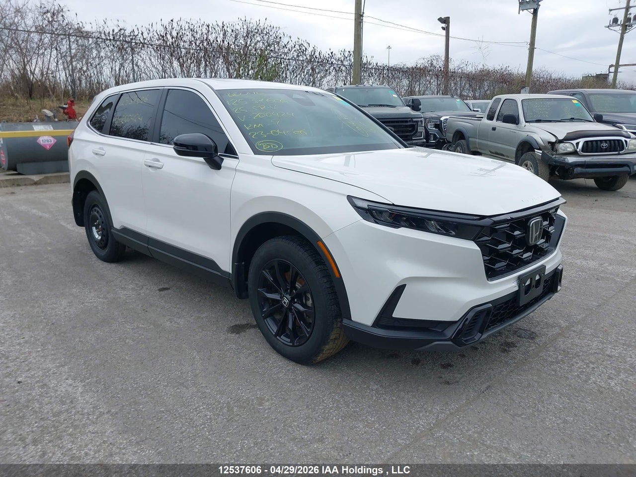 2025 HONDA CR-V EXL thumbnail 2