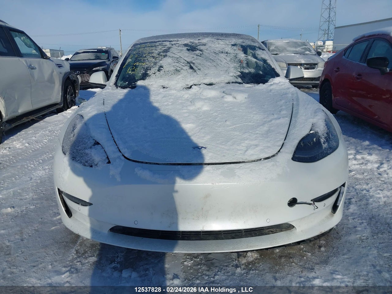 2022 TESLA MODEL 3 RWD/STANDARD RANGE thumbnail 12