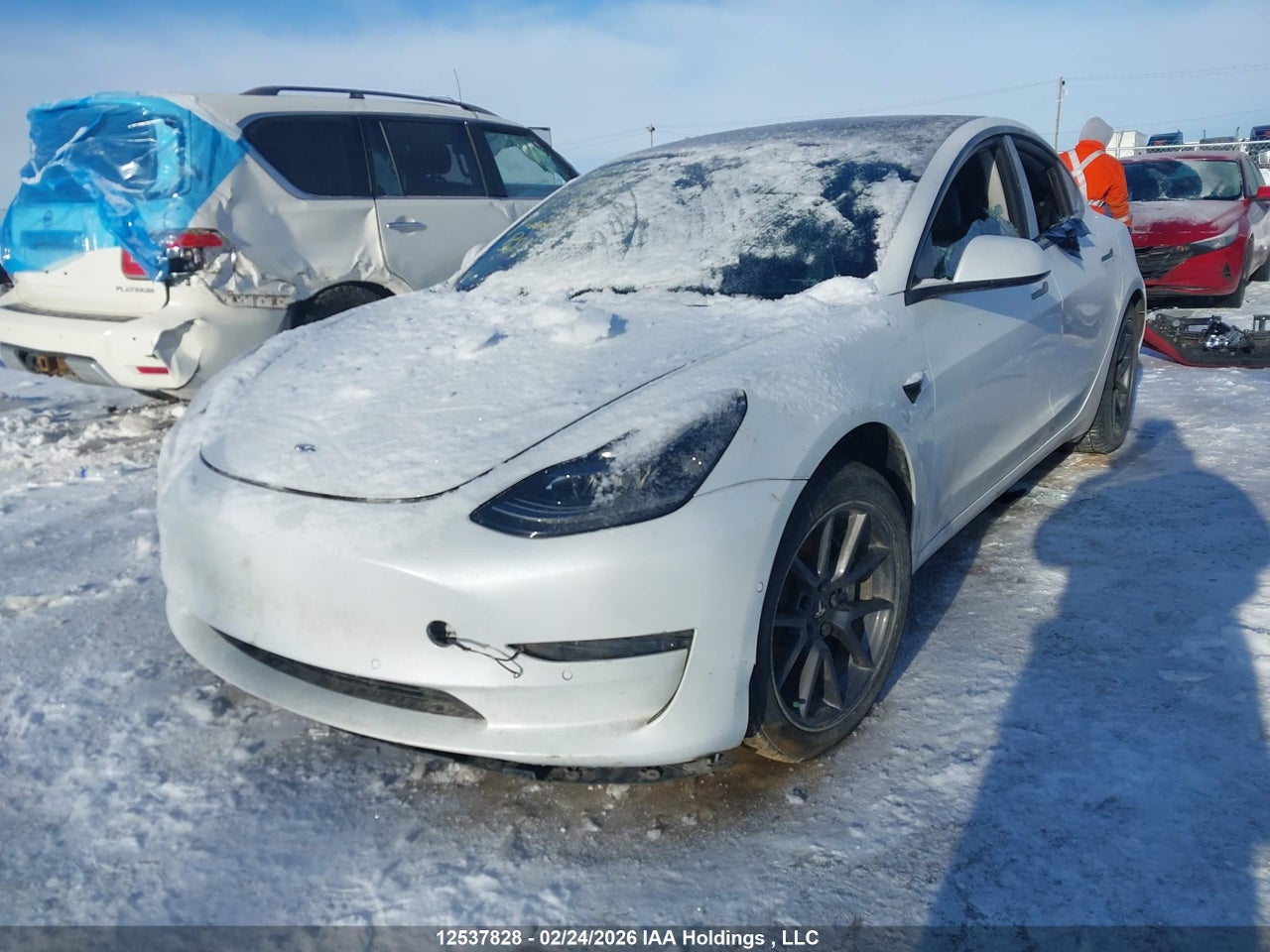 2022 TESLA MODEL 3 RWD/STANDARD RANGE thumbnail 3