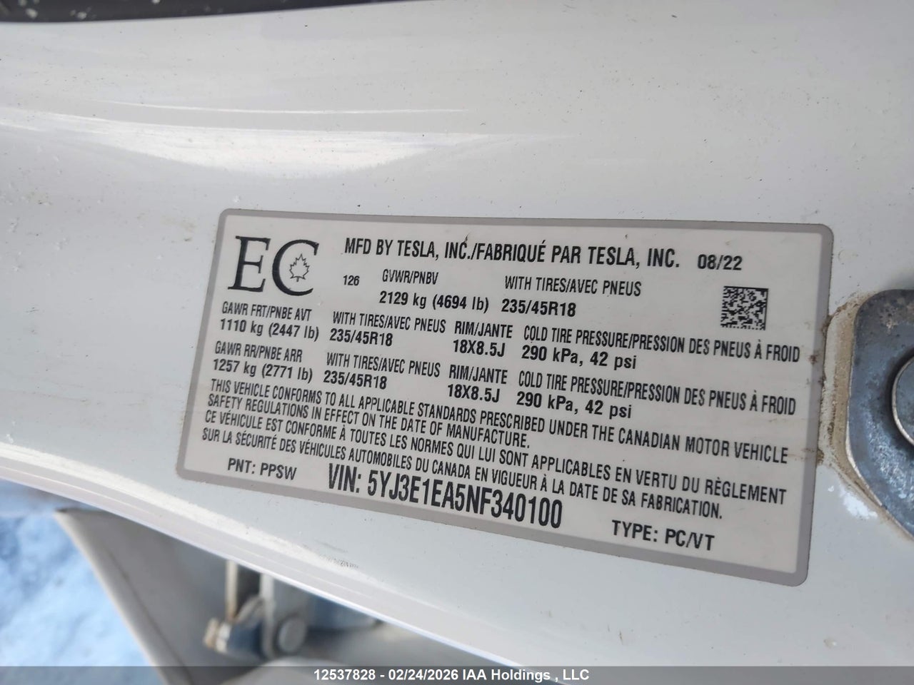 2022 TESLA MODEL 3 RWD/STANDARD RANGE thumbnail 10