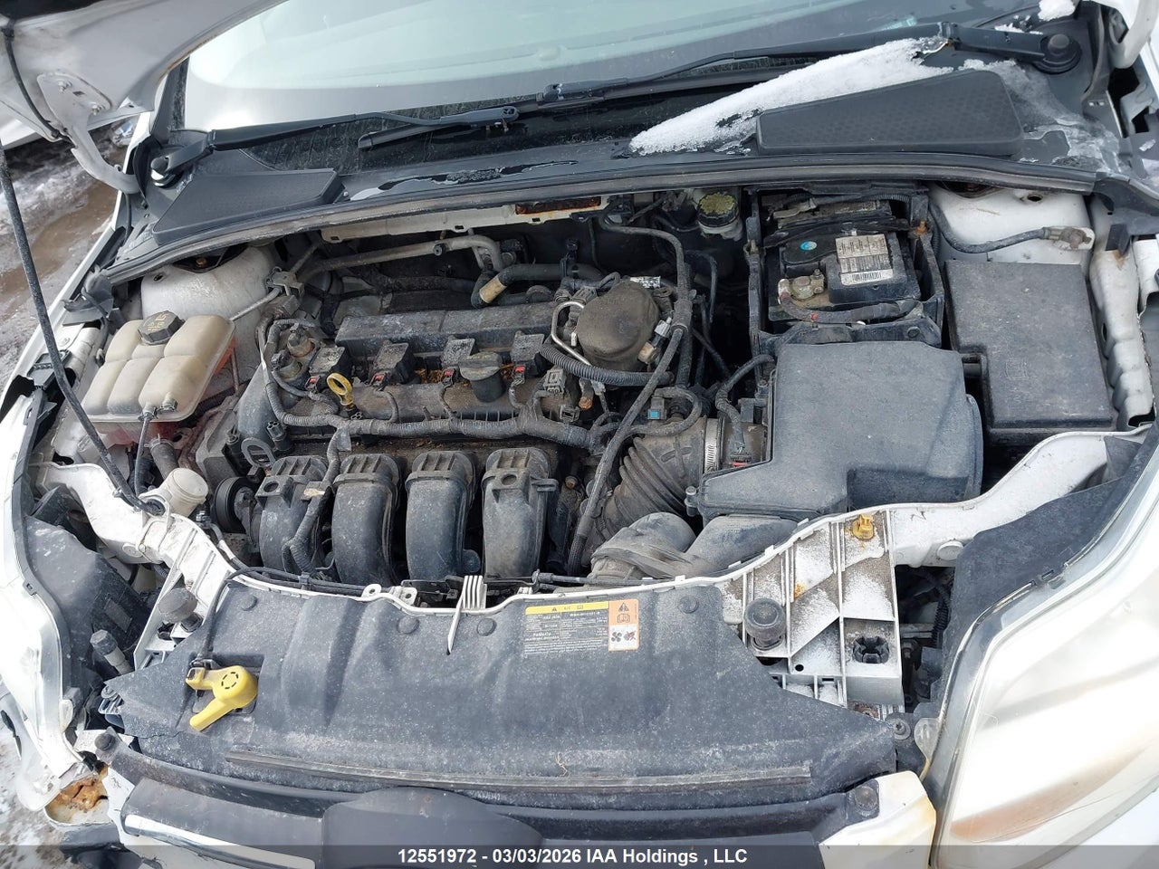 2014 FORD FOCUS SE thumbnail 11