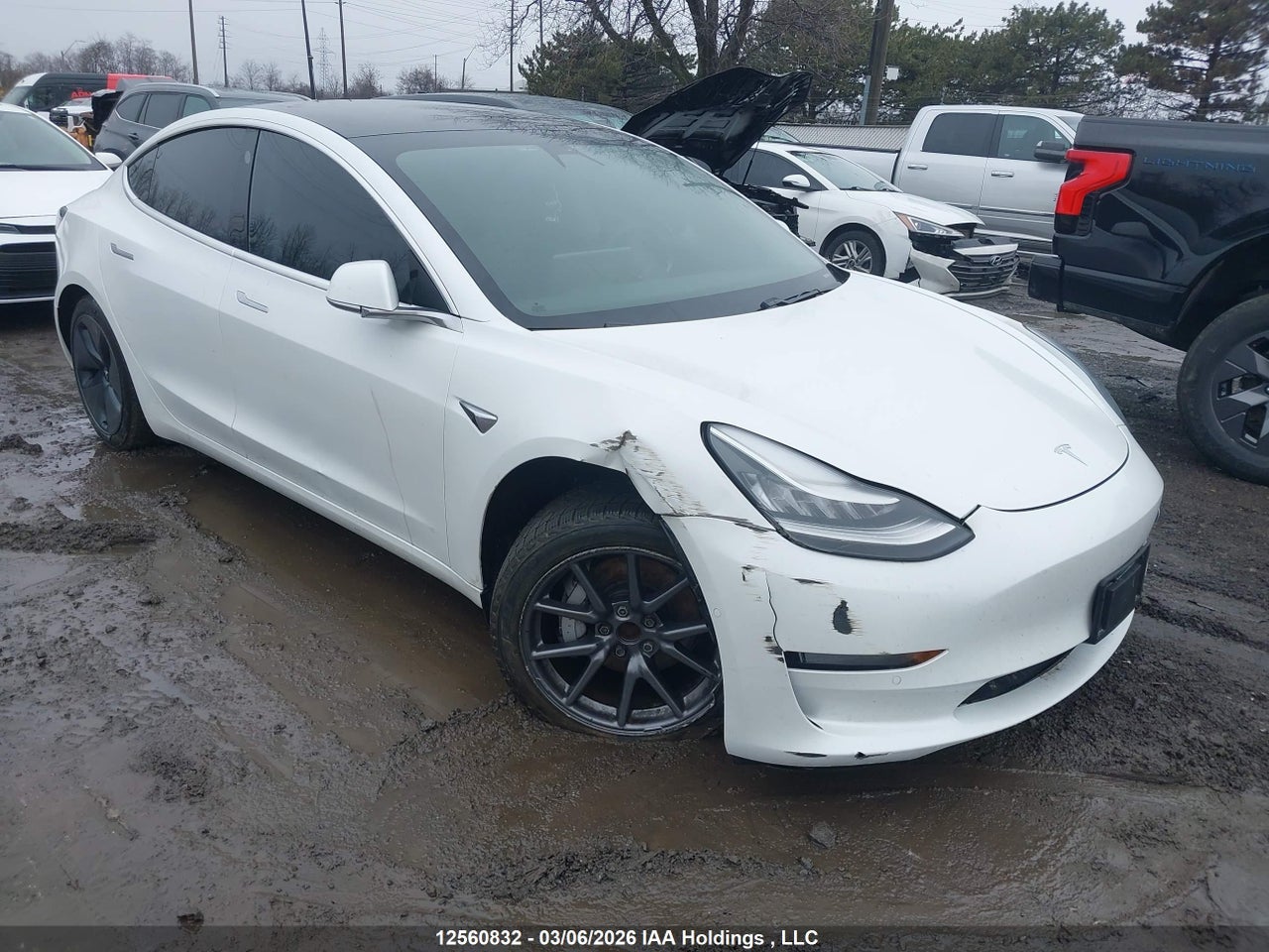 2020 TESLA MODEL 3 STANDARD RANGE PLUS thumbnail 2