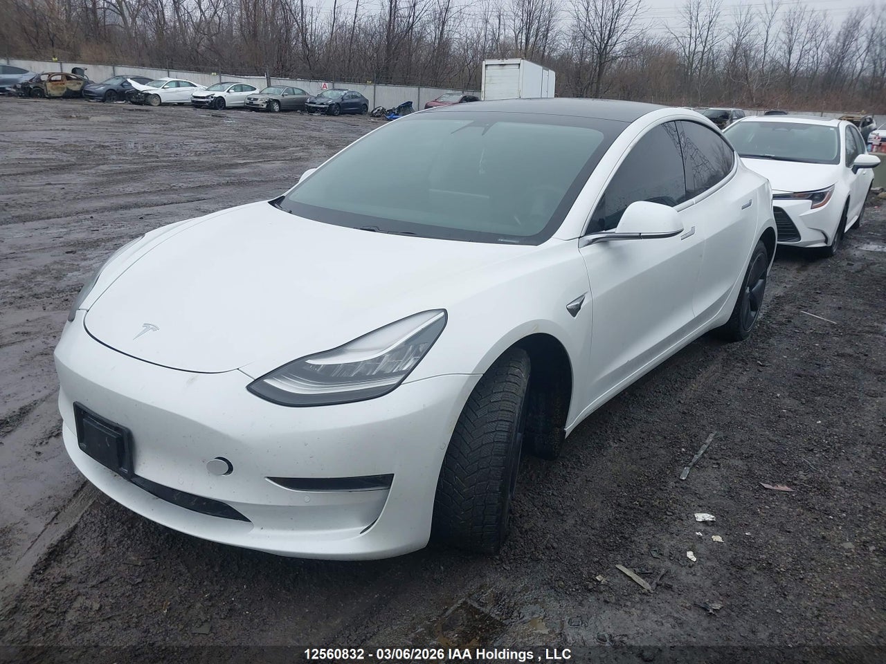 2020 TESLA MODEL 3 STANDARD RANGE PLUS thumbnail 3