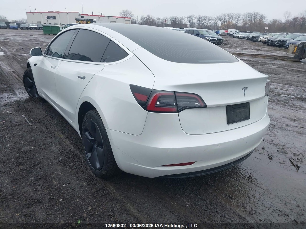 2020 TESLA MODEL 3 STANDARD RANGE PLUS thumbnail 4