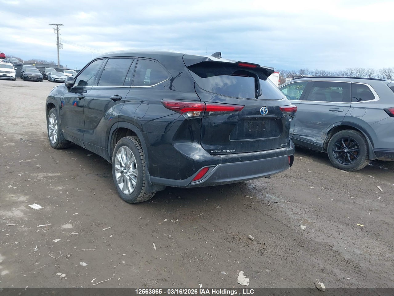 2024 TOYOTA HIGHLANDER HYBRID LIMITED thumbnail 4