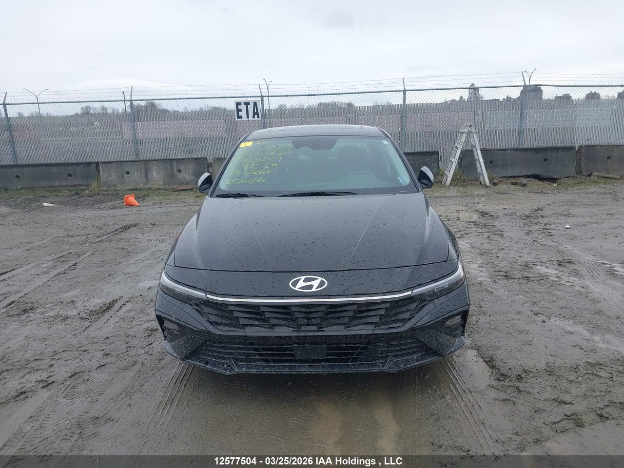 2025 HYUNDAI ELANTRA LUXURY thumbnail 12