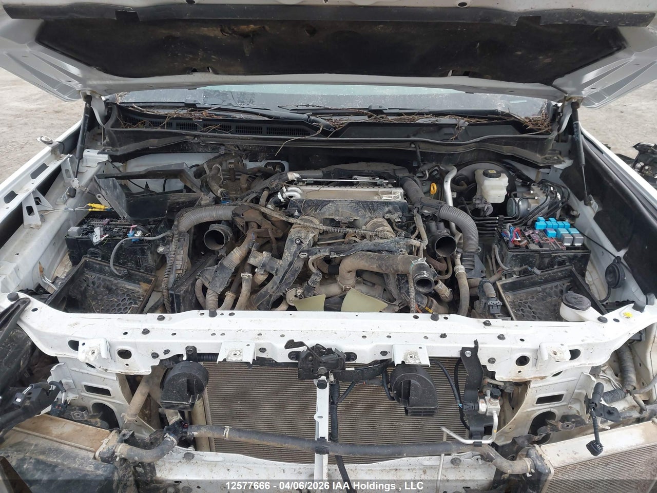 2024 TOYOTA TUNDRA SR 4X4 thumbnail 11
