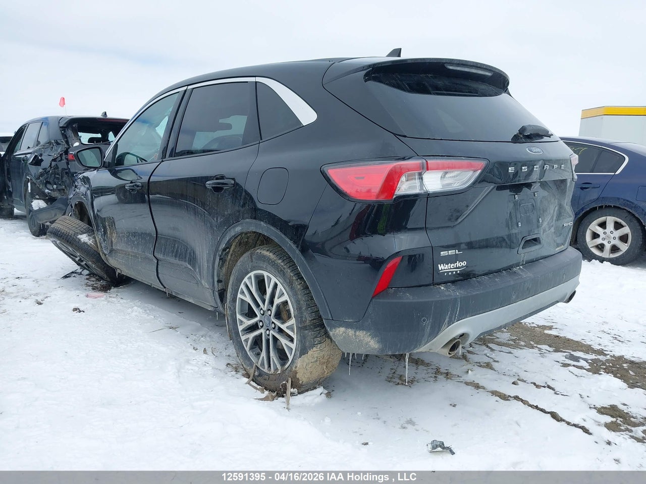 2022 FORD ESCAPE SEL thumbnail 4