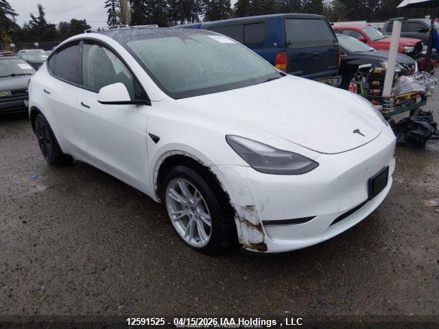 2022 TESLA MODEL Y thumbnail 2
