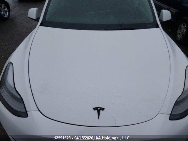 2022 TESLA MODEL Y thumbnail 12
