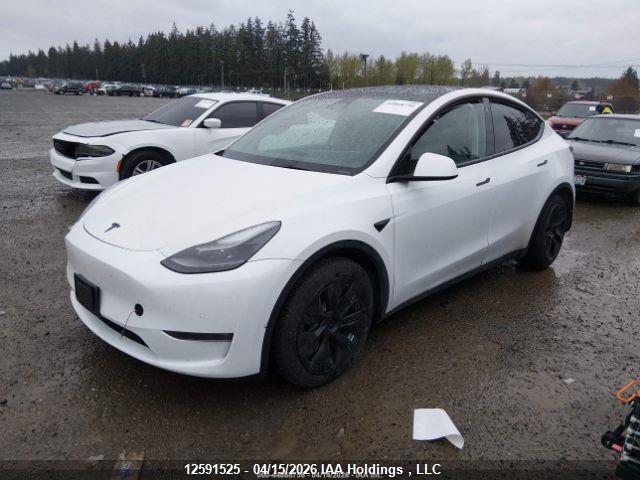 2022 TESLA MODEL Y thumbnail 4