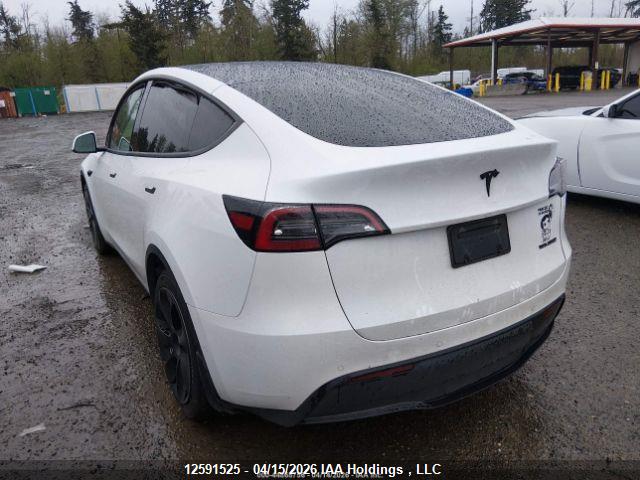 2022 TESLA MODEL Y thumbnail 5
