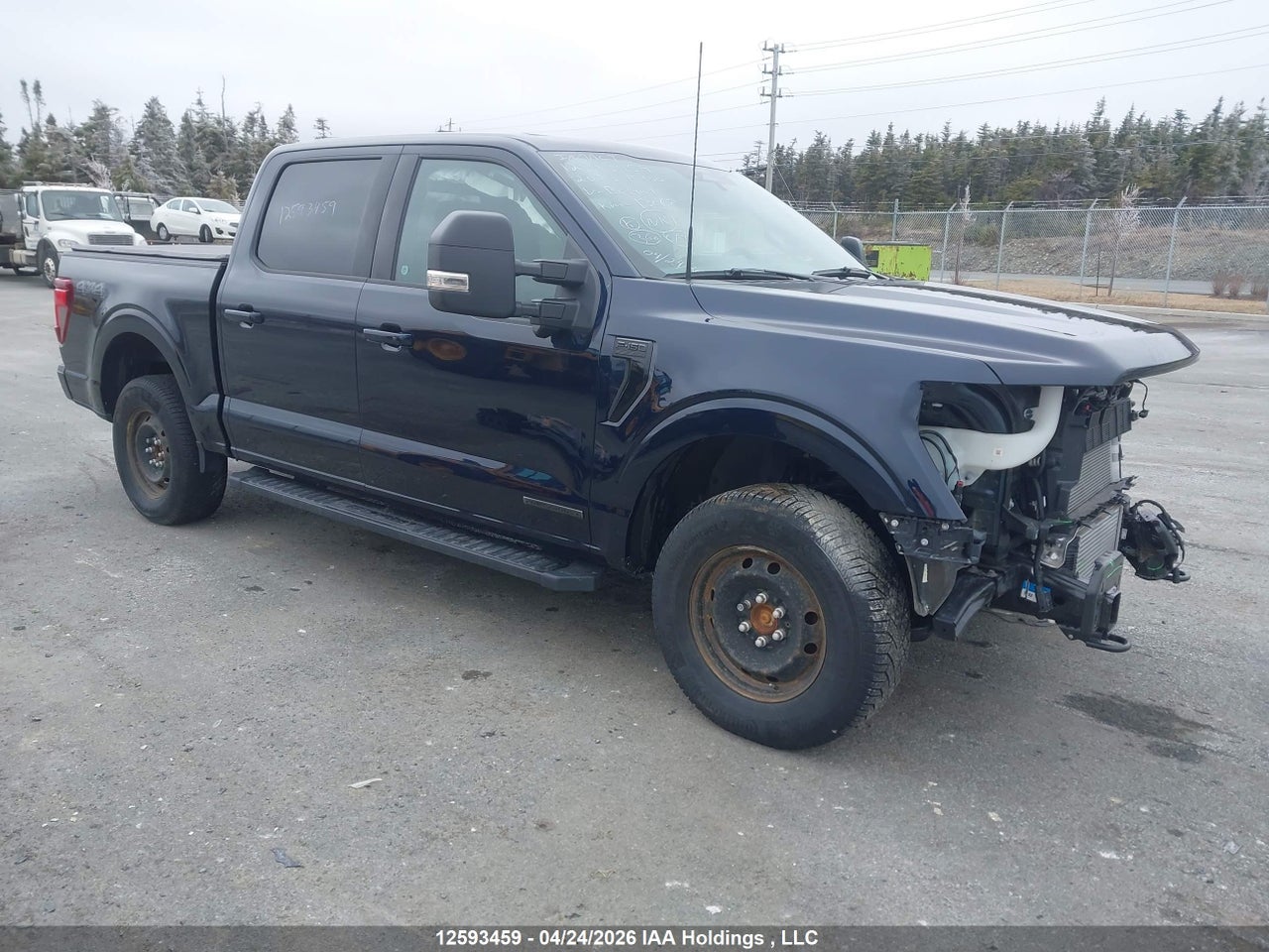 2025 FORD F-150 XLT thumbnail 2