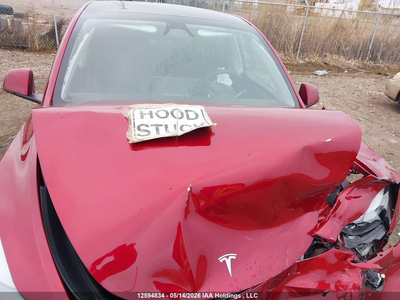 2024 TESLA MODEL Y LONG RANGE thumbnail 11