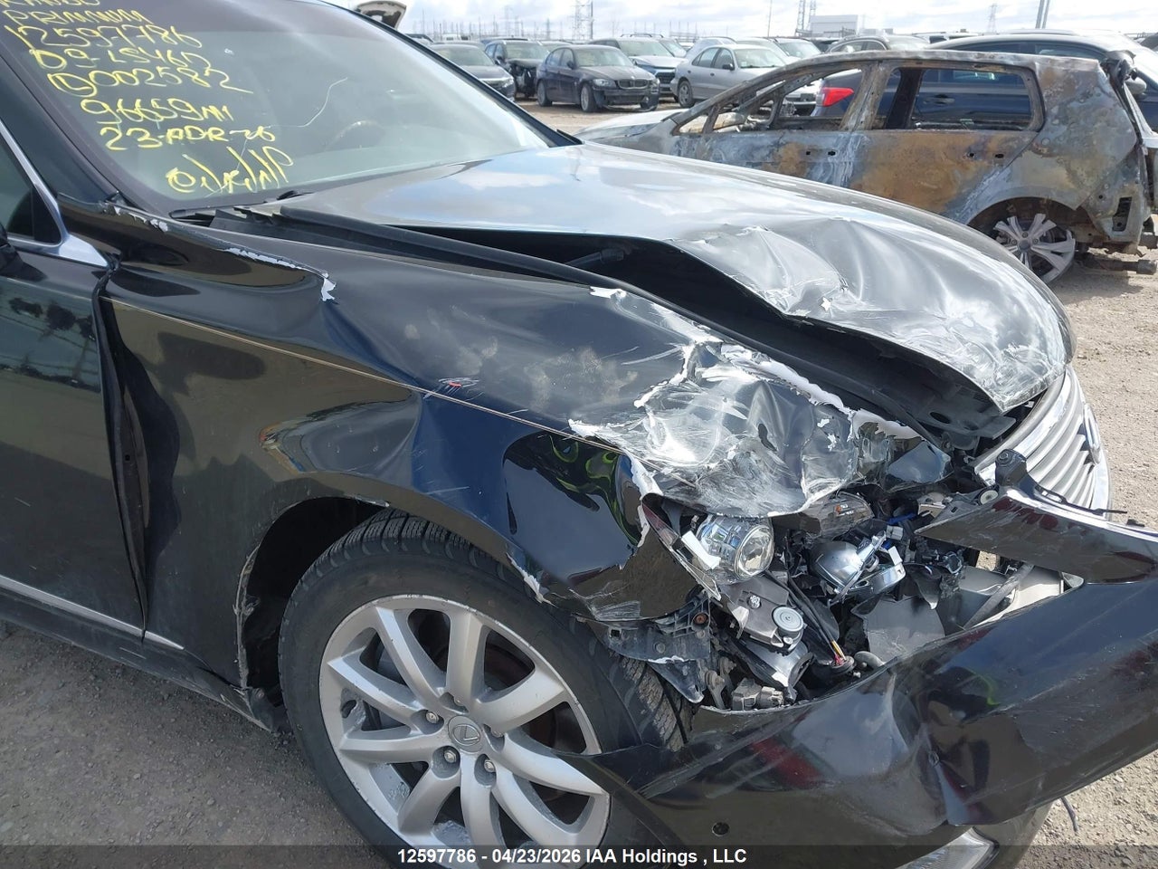 2009 LEXUS LS 460 thumbnail 12