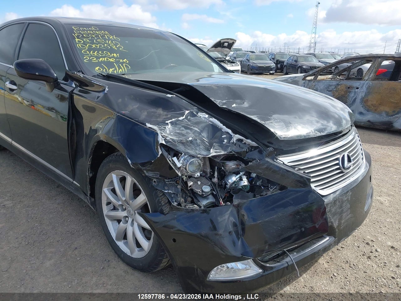 2009 LEXUS LS 460 thumbnail 7