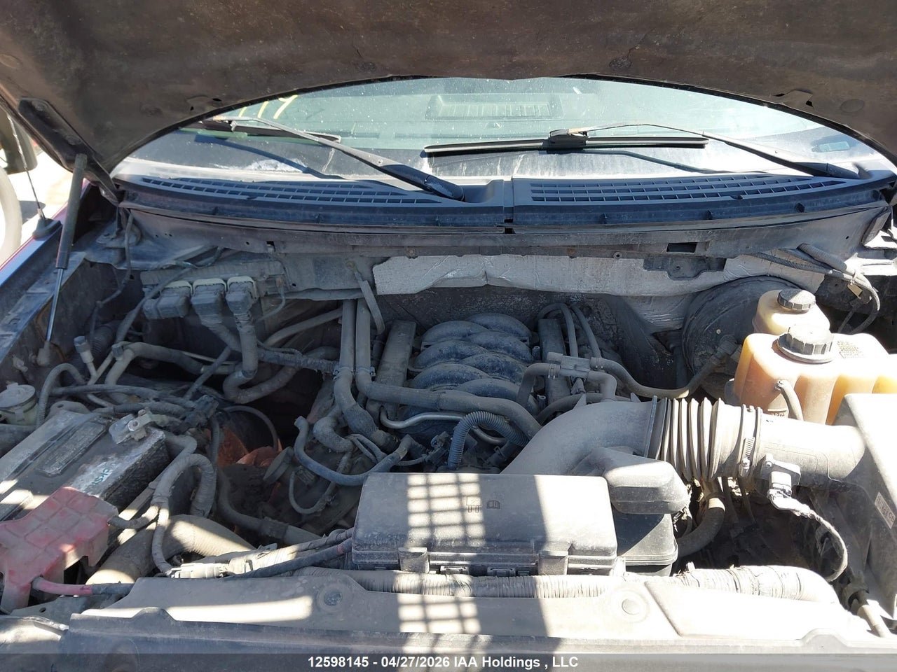 2012 FORD F-150 thumbnail 11