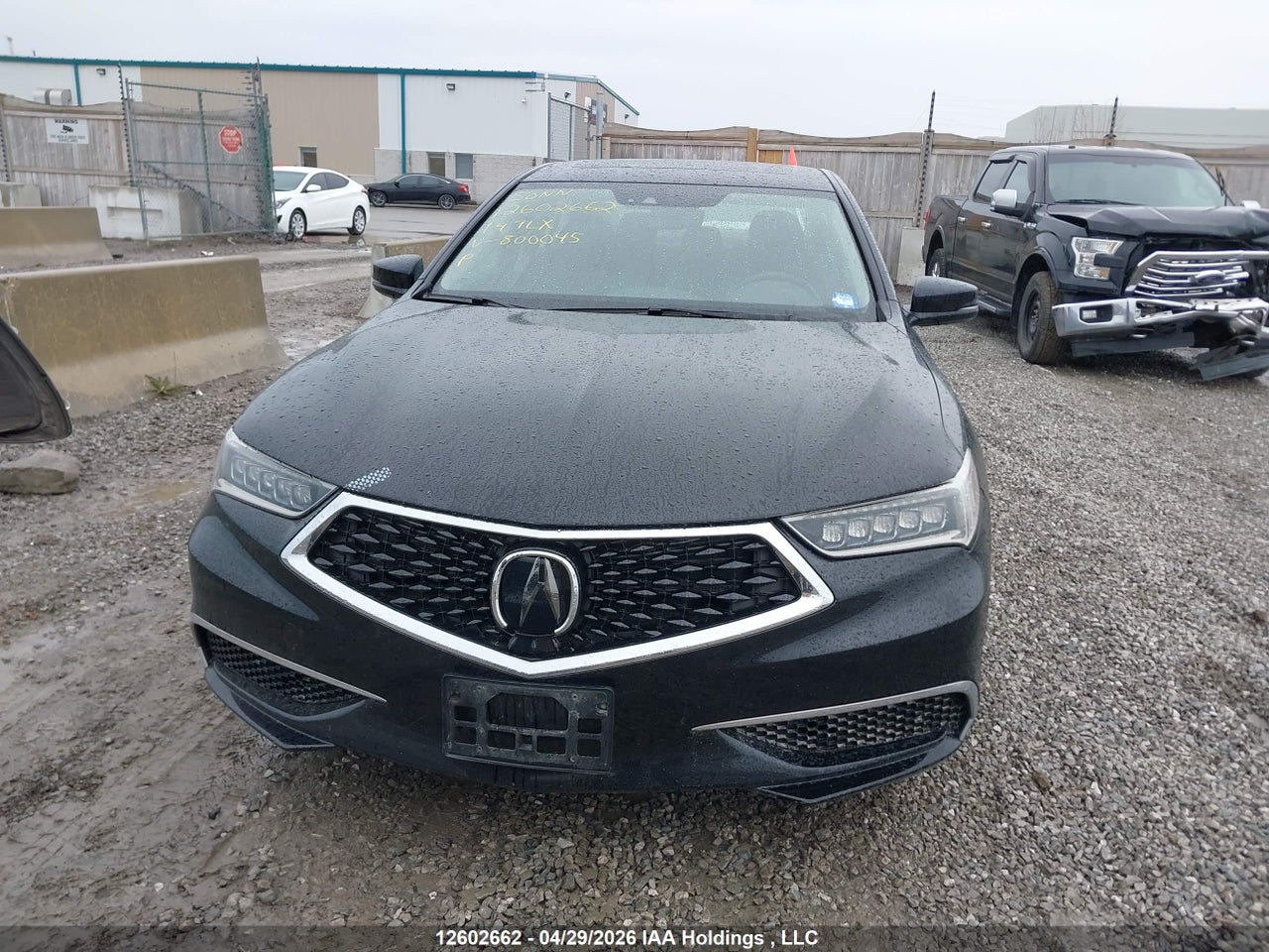 2019 ACURA TLX TECH thumbnail 11