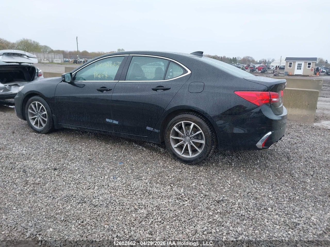 2019 ACURA TLX TECH thumbnail 4