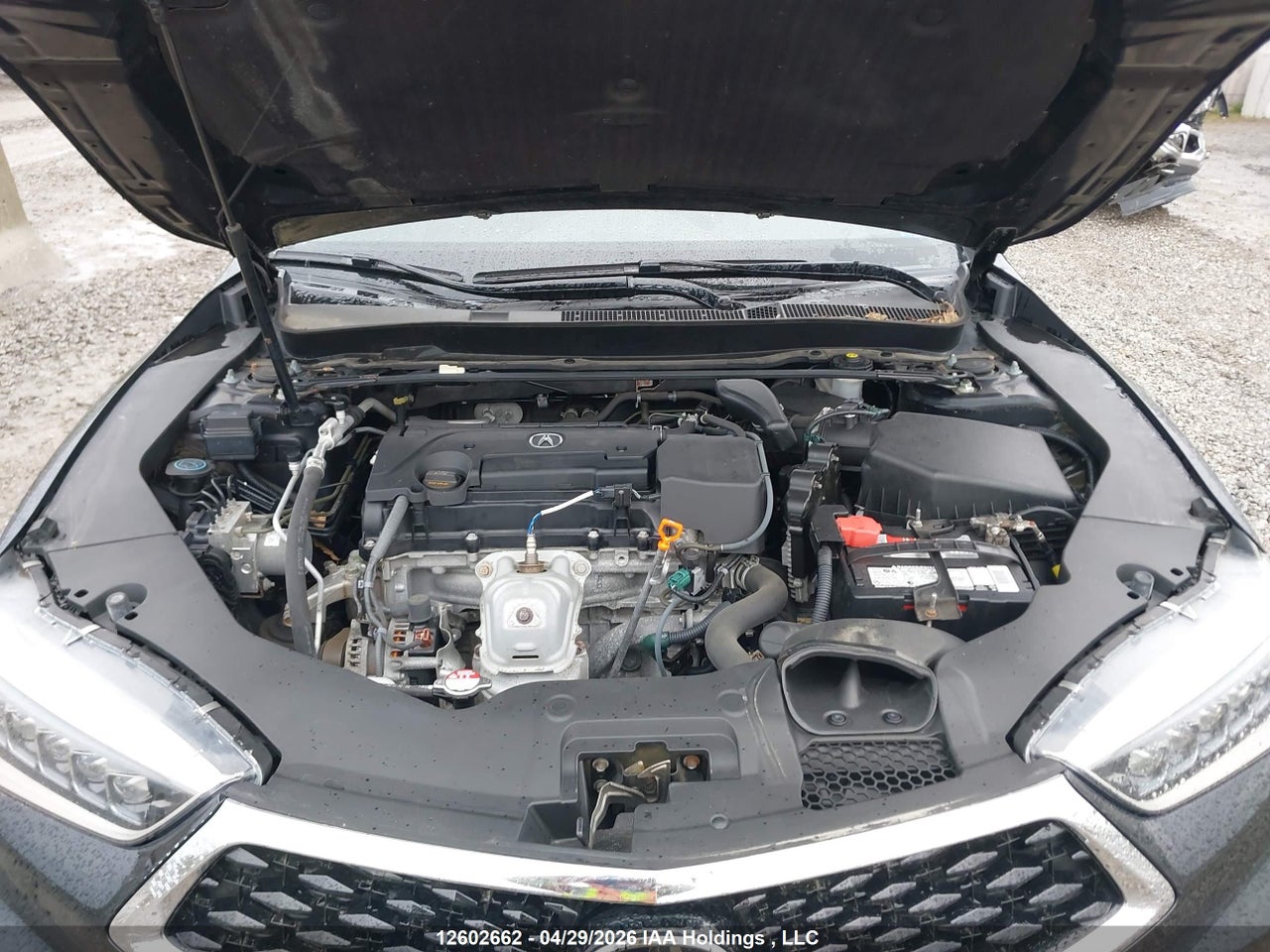 2019 ACURA TLX TECH thumbnail 10