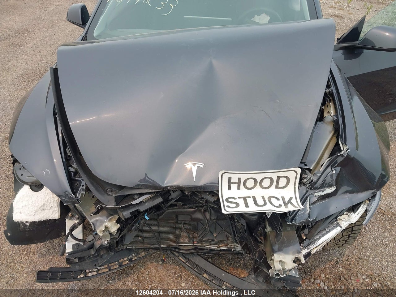 2024 TESLA MODEL 3 thumbnail 11