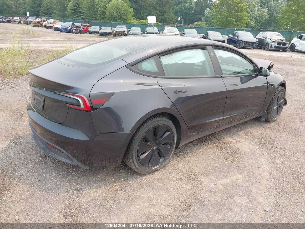 2024 TESLA MODEL 3 thumbnail 5