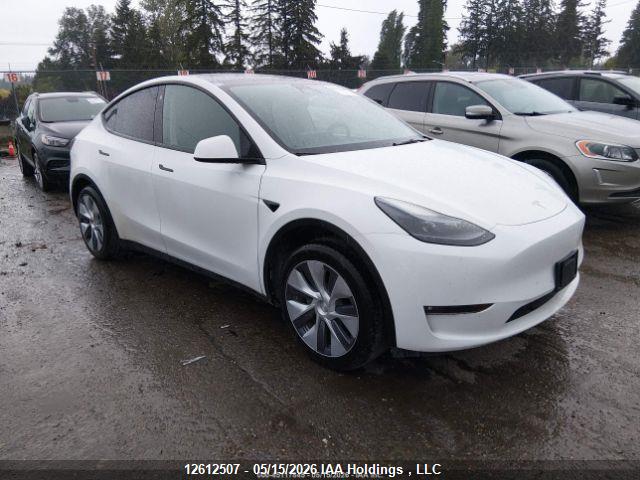 2023 TESLA MODEL Y thumbnail 2