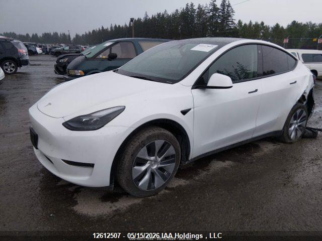 2023 TESLA MODEL Y thumbnail 4