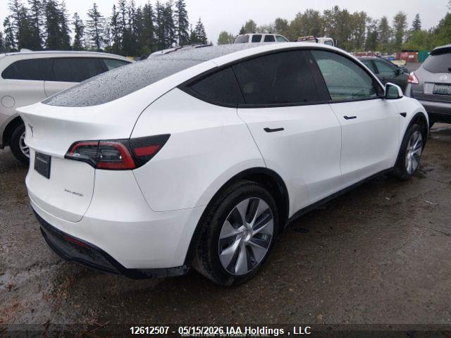 2023 TESLA MODEL Y thumbnail 6
