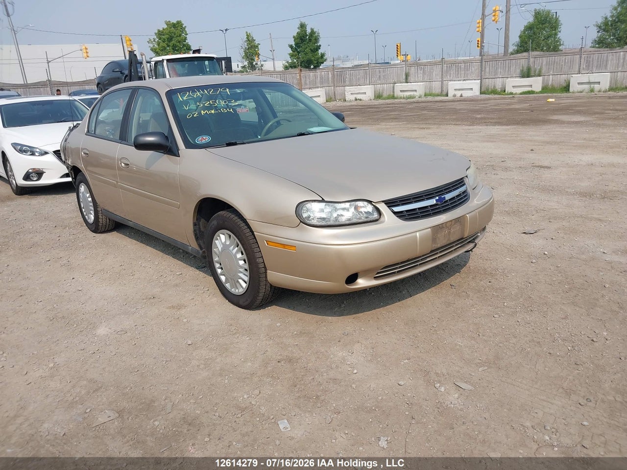 2002 CHEVROLET MALIBU thumbnail 2
