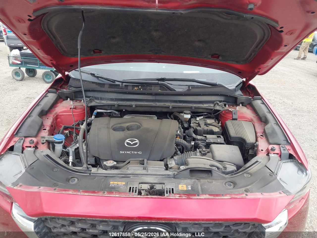 2024 MAZDA CX-5 GX W/O CD thumbnail 11