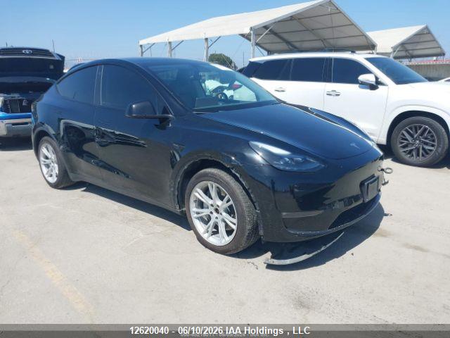 2022 TESLA MODEL Y thumbnail 2