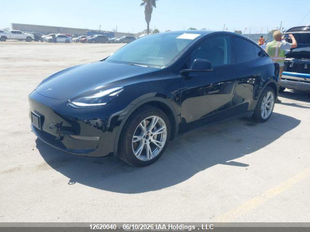 2022 TESLA MODEL Y thumbnail 4