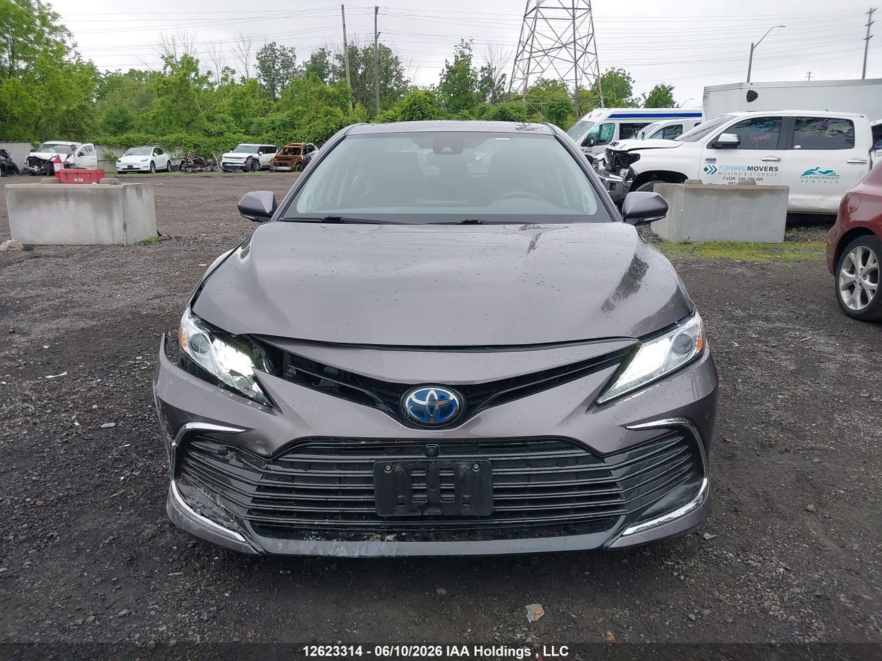 2023 TOYOTA CAMRY HYBRID XLE thumbnail 12