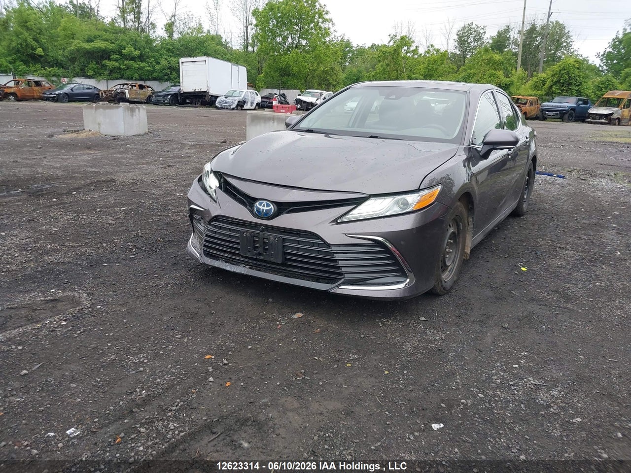 2023 TOYOTA CAMRY HYBRID XLE thumbnail 3