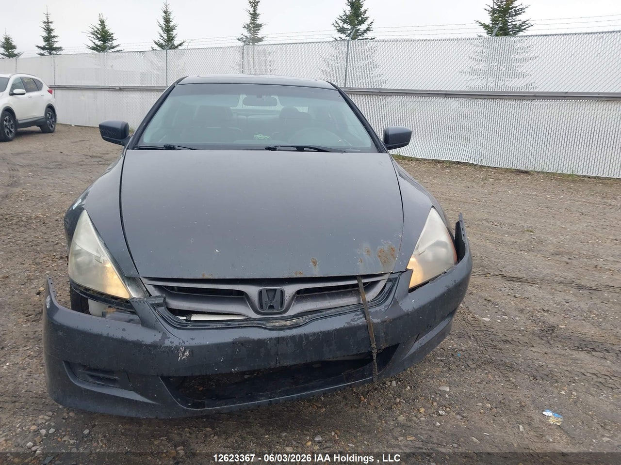 2007 HONDA ACCORD SE thumbnail 12