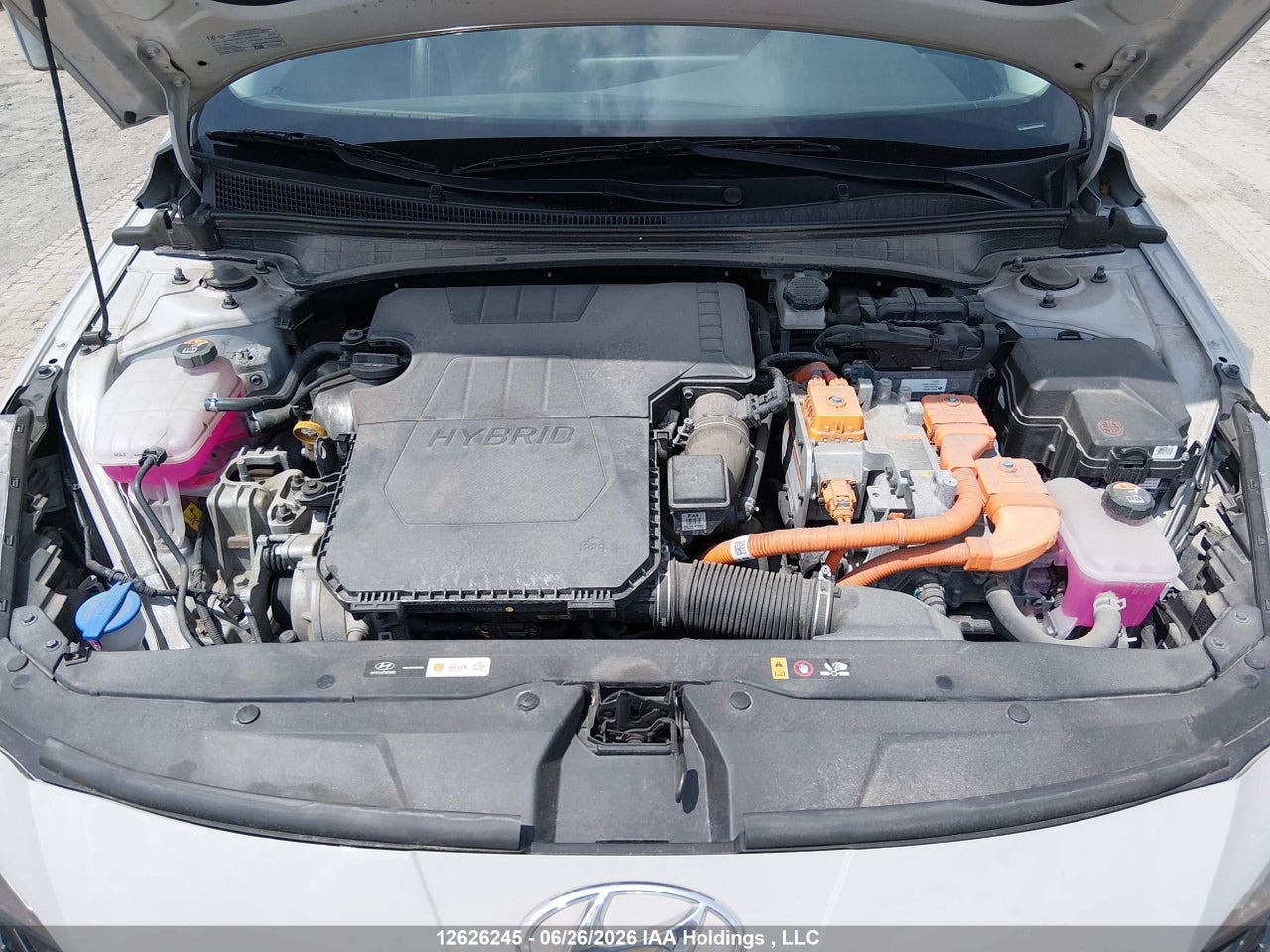 2023 HYUNDAI ELANTRA HYBRID thumbnail 11