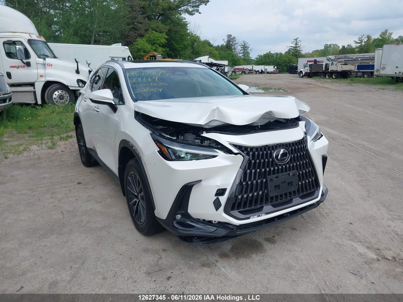 2022 LEXUS NX 350H thumbnail 2