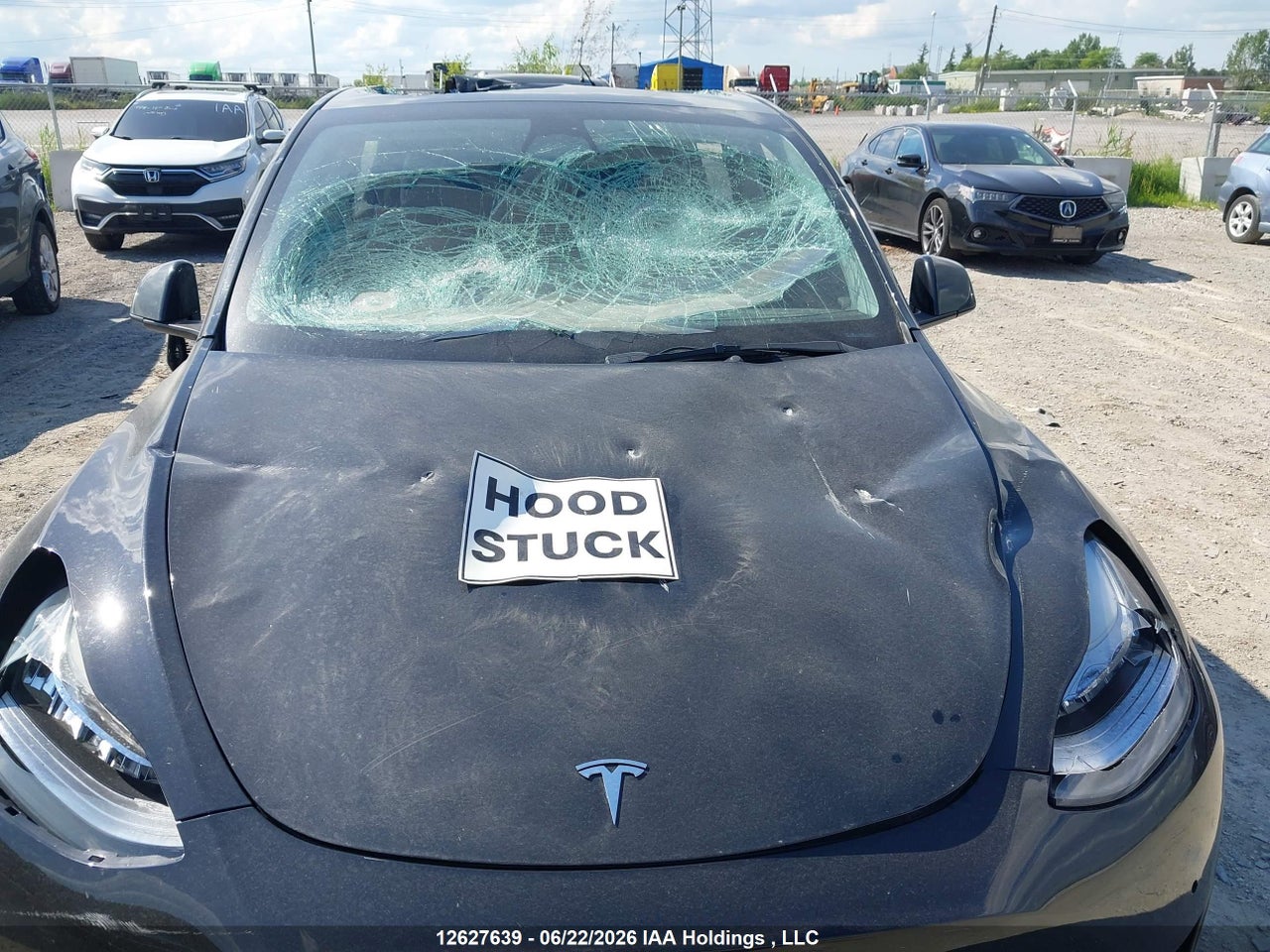 2022 TESLA MODEL Y thumbnail 11