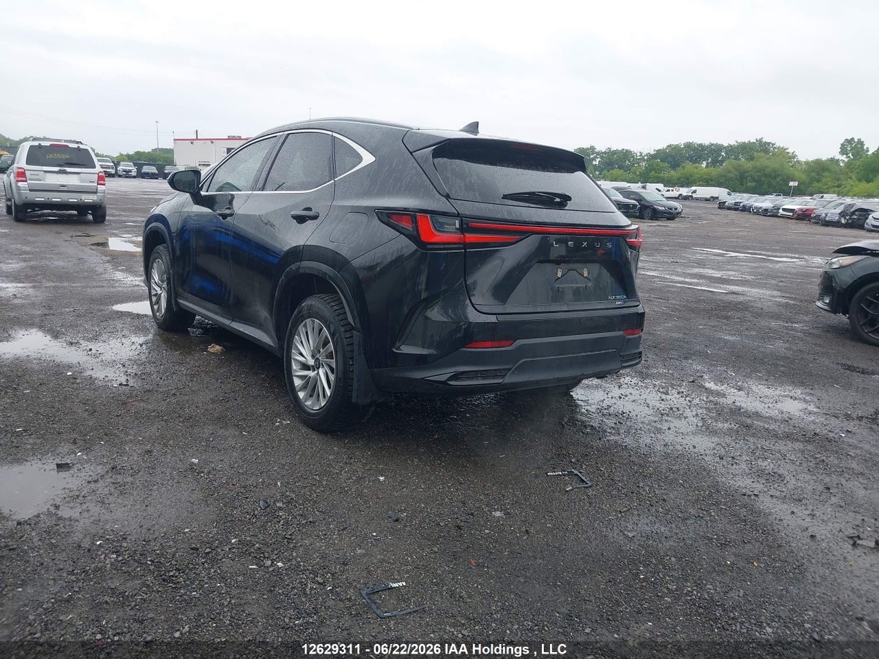 2024 LEXUS NX 350H thumbnail 4