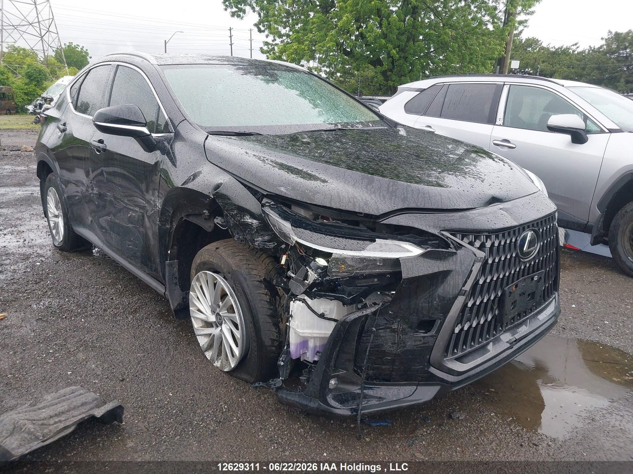2024 LEXUS NX 350H thumbnail 7