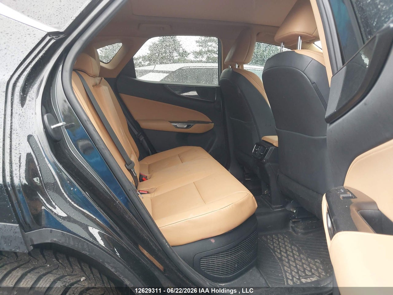 2024 LEXUS NX 350H thumbnail 9