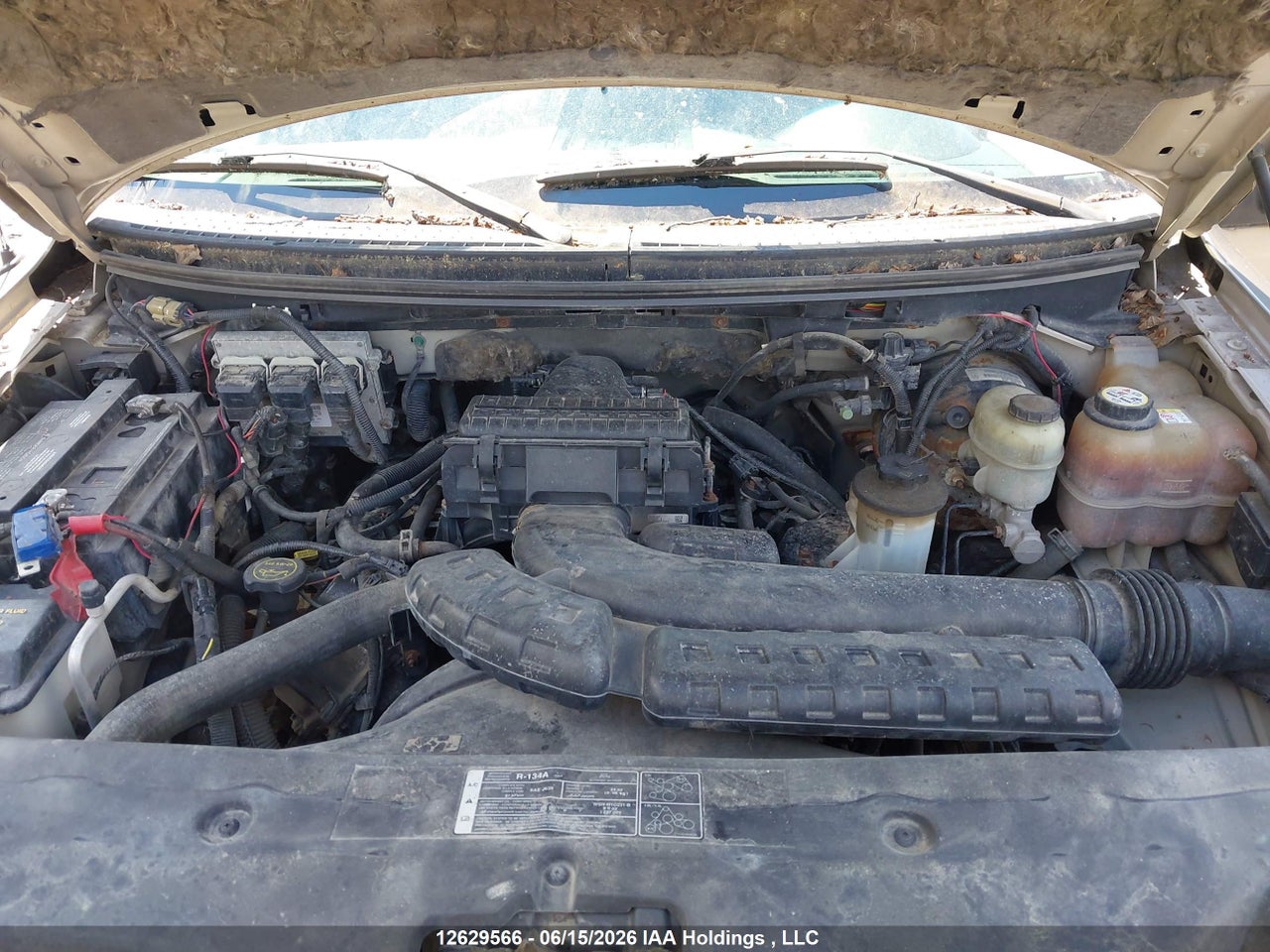 2005 FORD F-150 FX4/LARIAT/XL/XLT thumbnail 11