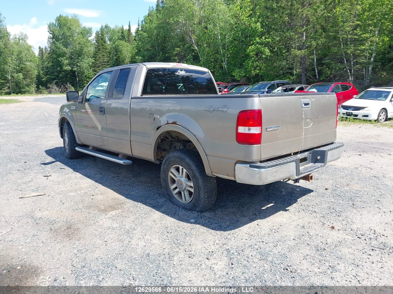 2005 FORD F-150 FX4/LARIAT/XL/XLT thumbnail 4