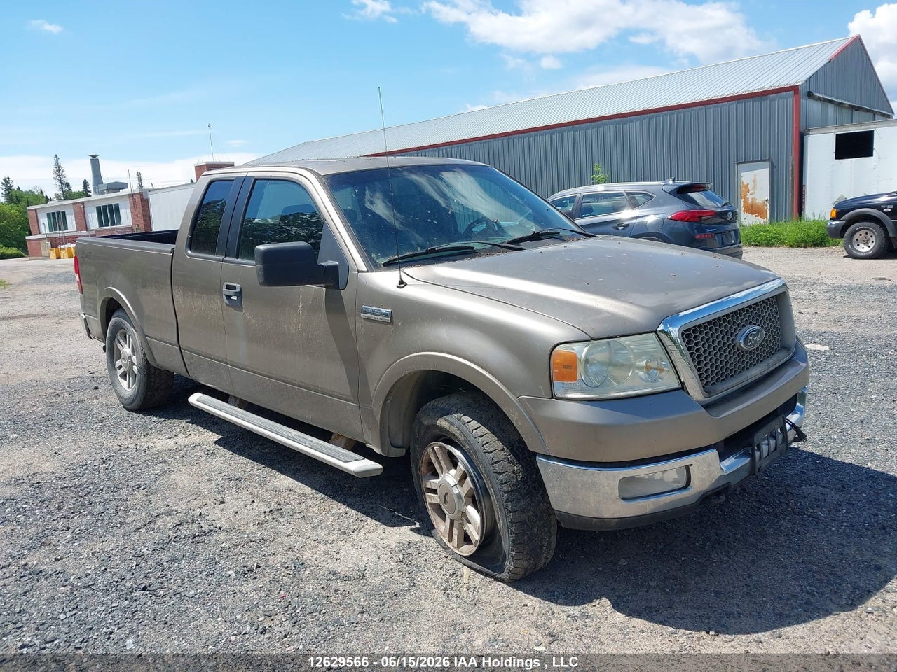 2005 FORD F-150 FX4/LARIAT/XL/XLT thumbnail 7