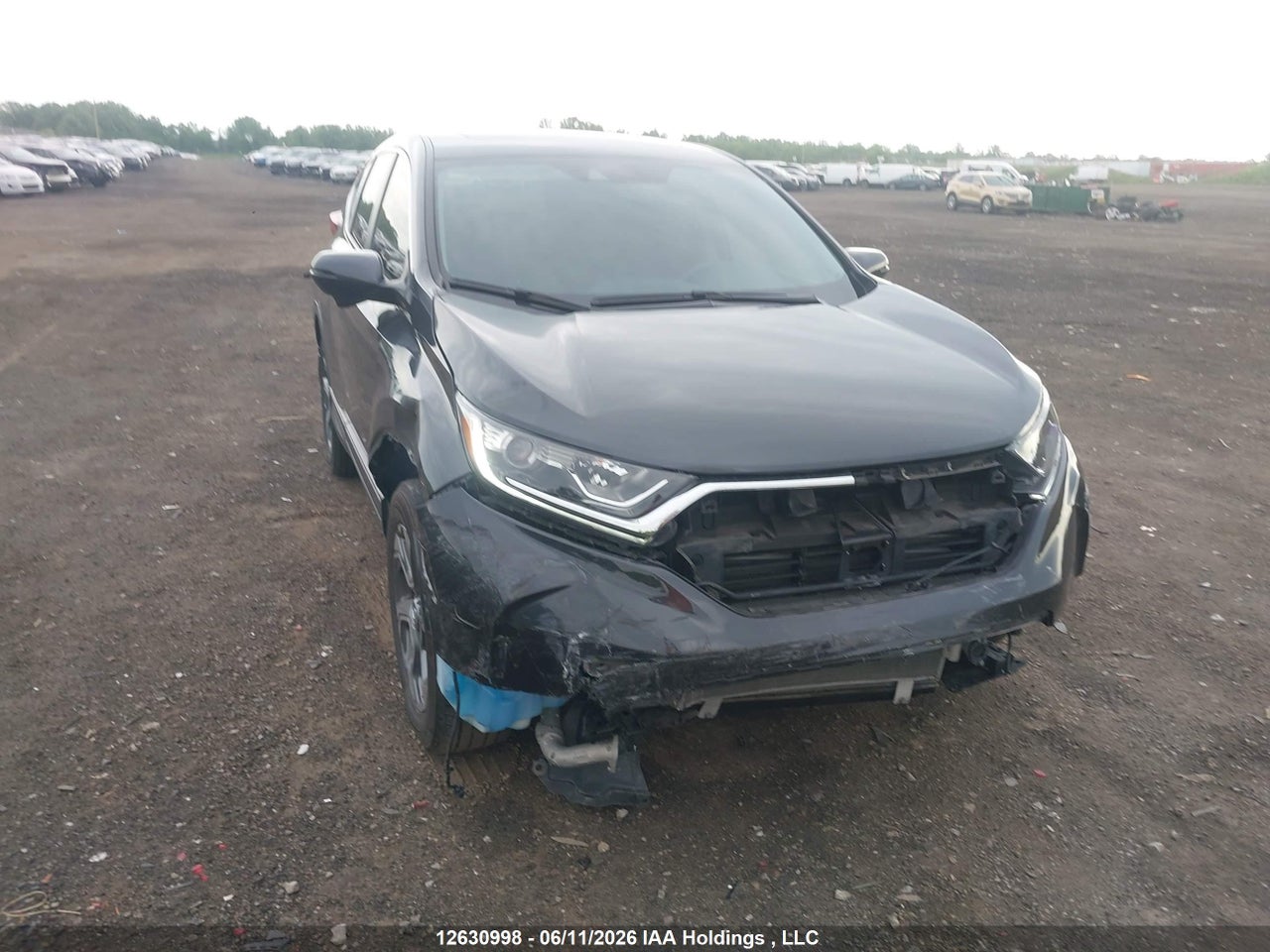 2019 HONDA CR-V EXL thumbnail 2