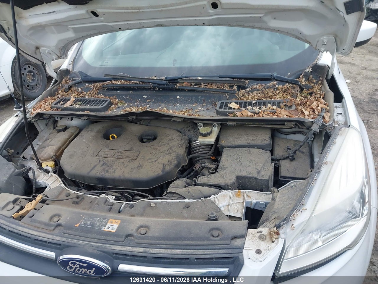 2013 FORD ESCAPE SE thumbnail 11