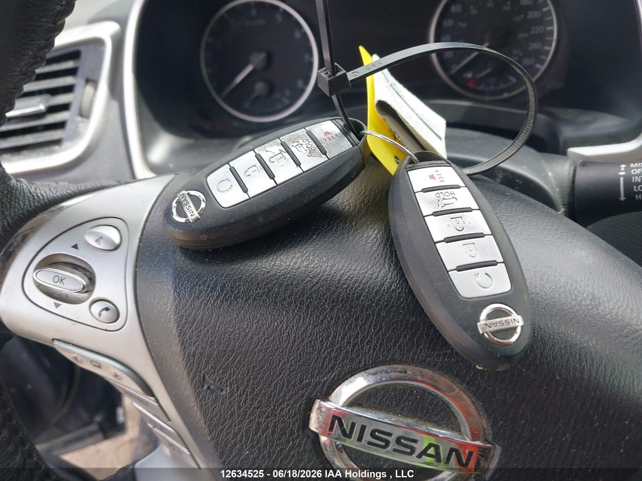 2017 NISSAN MURANO PLATINUM/SL/SV thumbnail 12